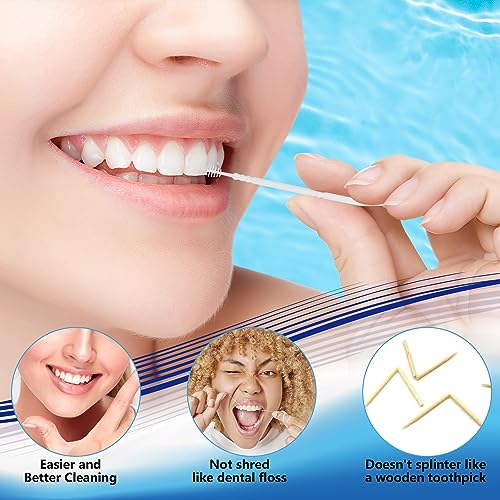 DanTicy Brushpicks Interdental Toothpicks,Soft Bristle Dental Floss Picks Toothpicks,Helps Removes Plaque and Debris Between Your Teeth