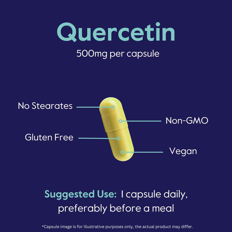 BESTVITE Quercetin 500mg (120 Veg Caps) - No Stearates - Vegan | No Silicon Dioxide - Non GMO - Gluten Free - Immune Support* - Respiratory & Antioxidant Support* 120 Count (Pack of 1)