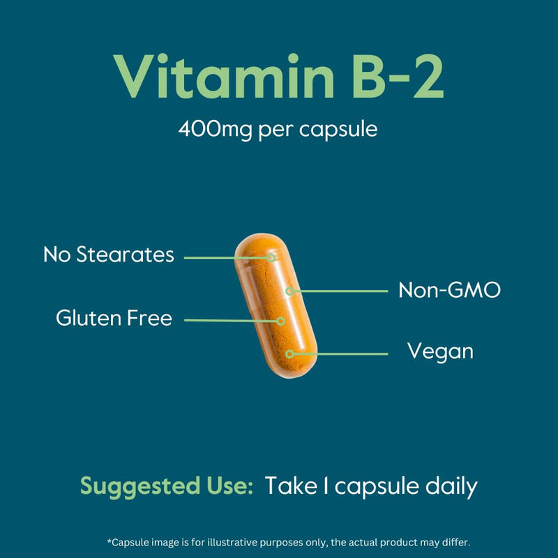 BESTVITE Vitamin B-2 (Riboflavin) 400mg (240 Veg Caps) (120x2) | High Potency - No Stearates - Vegan - Non GMO - Gluten Free - Energy, Skin & Cellular Health* 240 Count (Pack of 1)