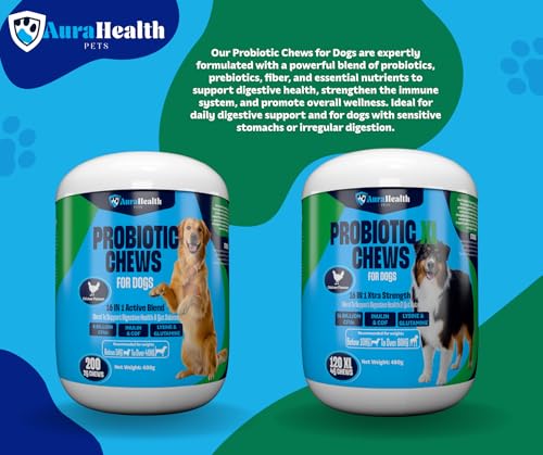 Dual-Action Strength & Gut Health Bundle for Medium to Large Dogs (120 XL Chews x2)