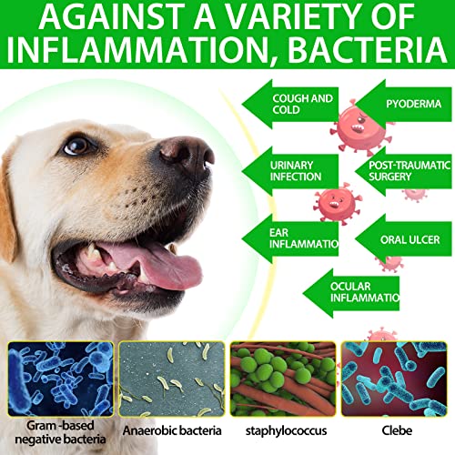 2 Pack Antibiotics for Dogs, Natural Antibiotics for Dogs, Dog Multivitamin for Pets, Dog Supplies Antibiotics, Do-g Allergy and Itch Relief 2.02 Fl Oz (Pack of 2)