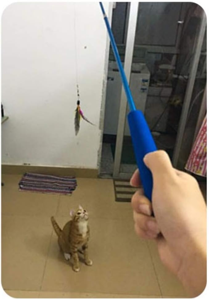 Retractable Cat Wand, Interactive Catcher Teaser Cat Toy 3-Section Teaser Cat Wand Fishing Pole Toy Exerciser for Cat and Kitten (Not Include Replacement) - BeesActive Australia