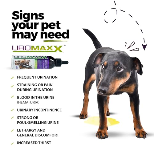 UroMAXX Urinary Tract Support Liquid for Dogs & Cats, Chicken, 6 oz 1 Pack