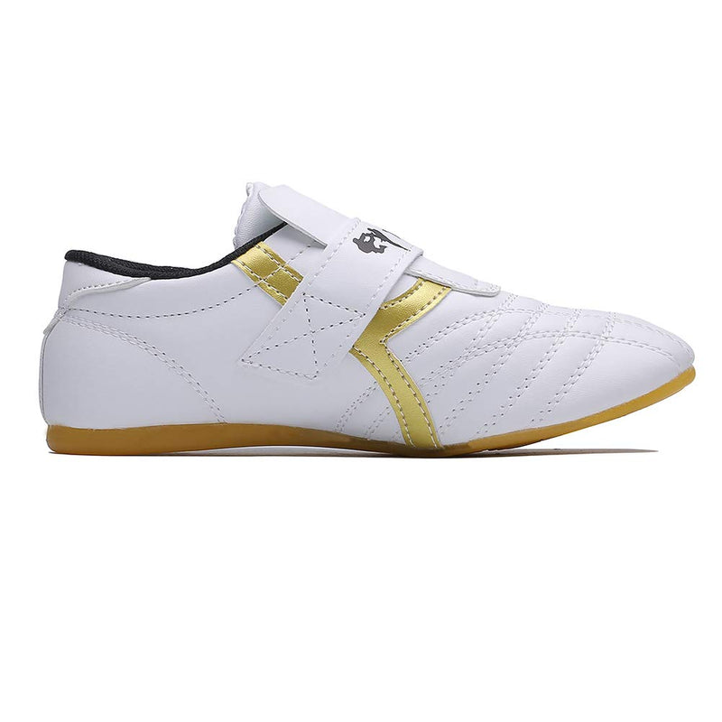MSMAX Art Taekwondo Shoes Light Weight Boxing Karate Kung Fu Tai Chi Sneakers 10.5 Toddler White