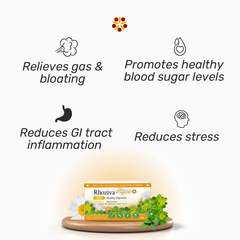 Digest Gut Health Supplement with Digestive Enzymes for Men & Women - Probiotics & Prebiotics for Gut Health Supplement - Daily Synbiotic Gut Vitamins for Men & Women - 60 Capsules