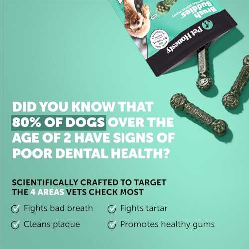 Pet Honesty Dog Wellness Virtual Bundle – Allergy Relief Immunity Chews (90 Ct) + Brush Buddies Dental Sticks for Small Dogs (25 Ct) – Itch Support, Plaque & Breath Care