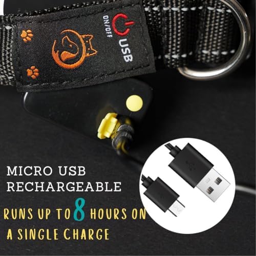 Light Up Dog Collar,Led Dog Collar,Rechargeable Waterproof Led Dog Collar with Remote,Led Dog Collar Breakaway,Glow in Dark Led Dog Collar,Dog Lights for Night Walking（Small） - BeesActive Australia