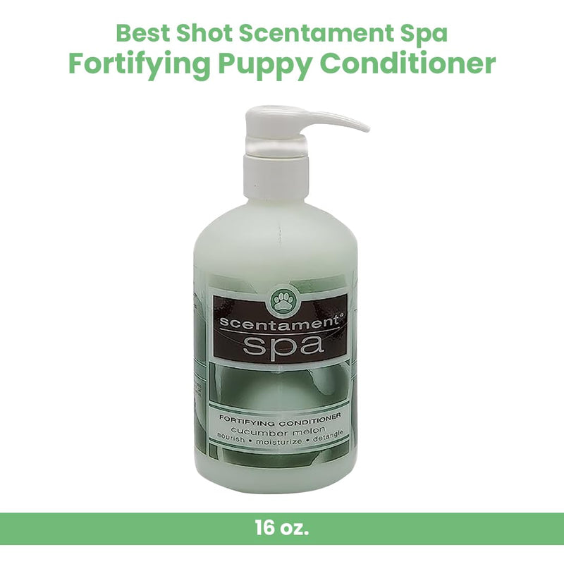 Best Shot Scentament Spa Fortifying Puppy Conditioner, Ideal Skin Care Product, for Deep Cortex Conditioning, Cucumber Melon, 16 Ounces 16 fl oz - BeesActive Australia
