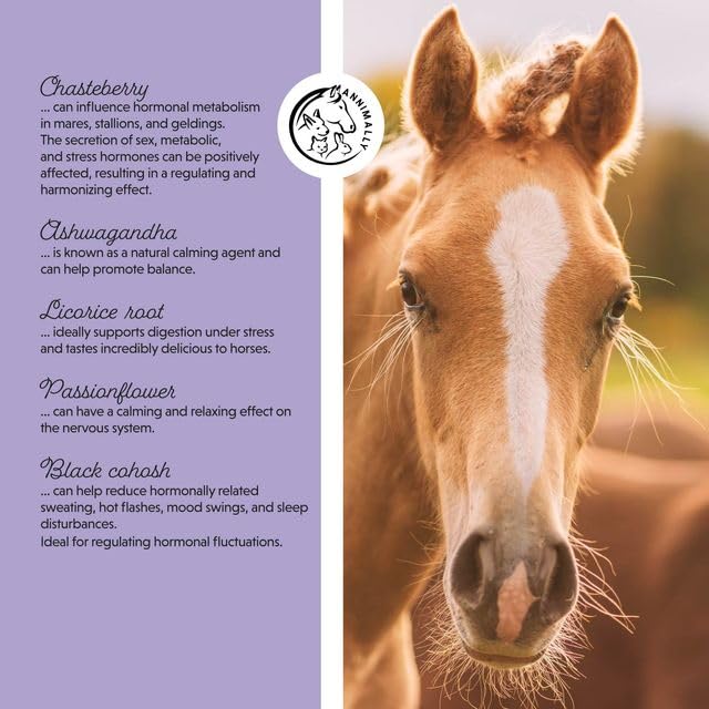 Annimally Monk’s Pepper Liquid for Horses 1000 ml - Daily Supplement with Monk’s Pepper, Ashwagandha, Passion Flower & Black Cohosh, Made in Germany