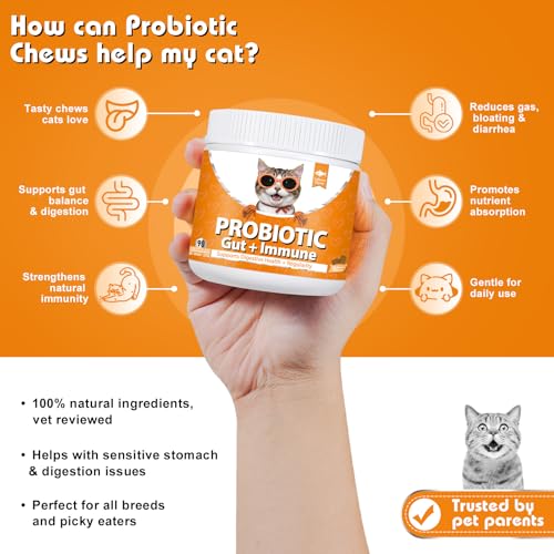 Bailey & Buddies Cat Probiotics & Allergy Relief Bundle – Digestive Support, Itchy Skin Relief, Immune & Gut Health Supplements for Cats