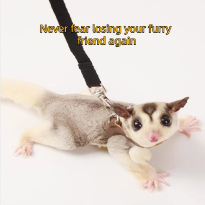 MANON ROSA Sugar Gliders Harness Leash Set - 3 Pcs Training Walking Gear Small Animal Adjustable Traction Ropes Vest for Squirrels Hamsters Rats Gerbils Reptiles Bearded Dragon Lizards Black 01 Black - BeesActive Australia