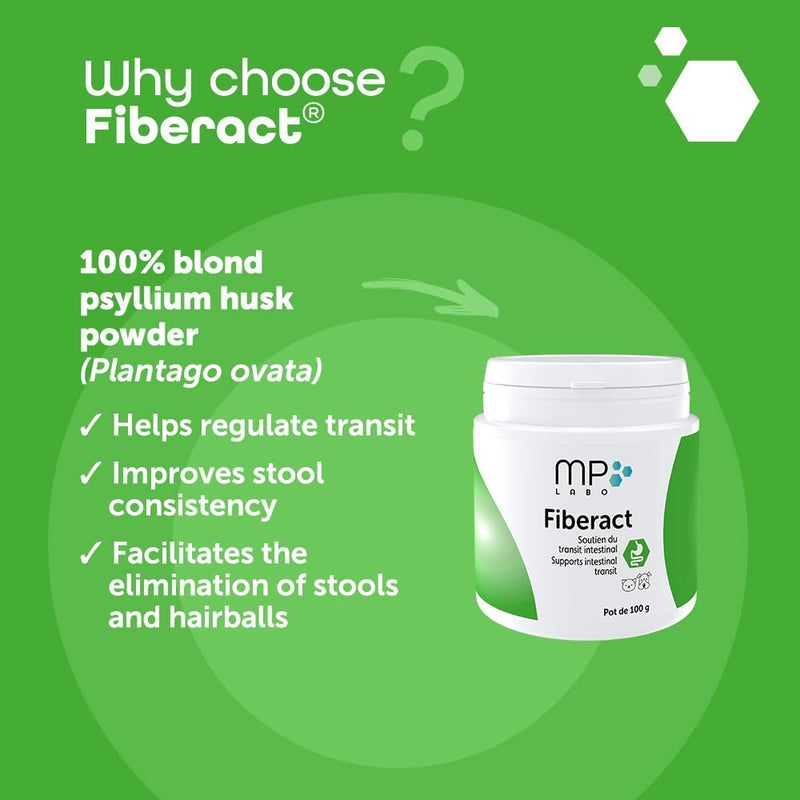 MP Labo Fiberact 100 g Jar - Supports Intestinal Transit for Dogs and Cats - Blond Psyllium Husk Powder