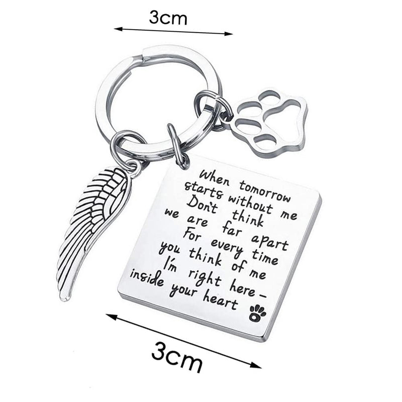 WANGCL Stainless Steel Paw Print Keychain with Box to Remember Lost Dogs Pets Cats - BeesActive Australia