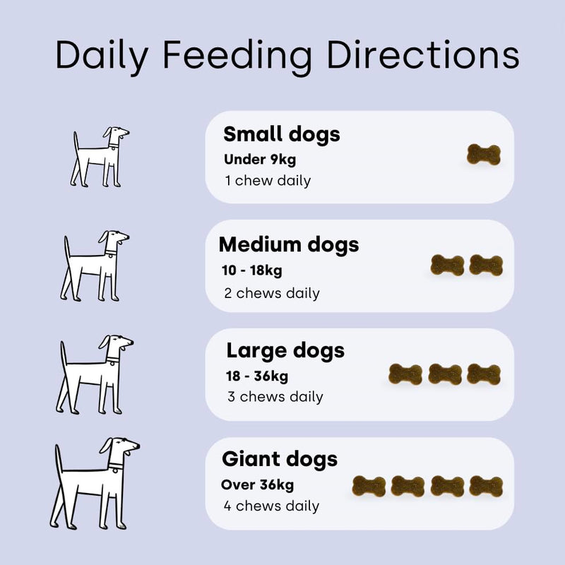 Scooch Calming Dog Treats – The Calming Chew Fussy Dogs Actually Eat | Helps Support Calm for Fireworks, Travel & Time Alone | with Ashwagandha, Valerian, Hemp & Chamomile | 60 Chews