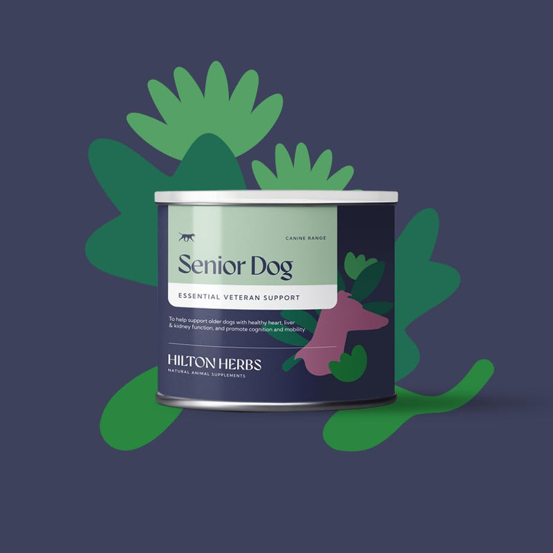 Hilton Herbs Senior Dog Optimum Health Supplement for Older Dogs, 4.4 oz Tub