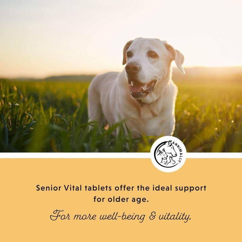 Annimally Senior Vital Tablets for Dogs 120 pcs. - Daily Supplements for Senior Animals with Spirulina, Rosehip & Ginger, Made in Germany