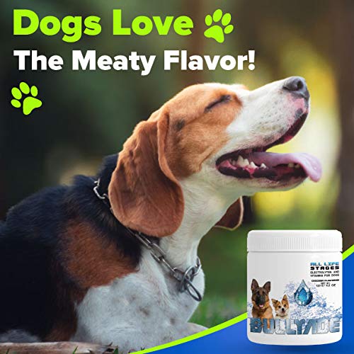 Natural Dog Supplement with 18 Vitamins & Minerals. Mixes with Water or Food. (Chicken) Chicken
