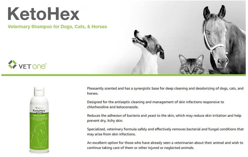 KetoHex Cat and Dog Shampoo - 16 oz Anti Bacterial Cat & Dog Flea And Tick Treatment, For Sensitive Skin Infections & Lesions, Protects & Moisturizes, Antifungal Treatment For Dogs & Cats - VetOne - BeesActive Australia