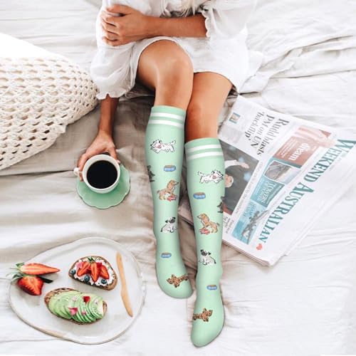 6 Pack Copper Compression Socks for Women and Men Circulation-Best Support for Medical,Running,Nursing,Athletic Large-X-Large D-assorted1-cartoon