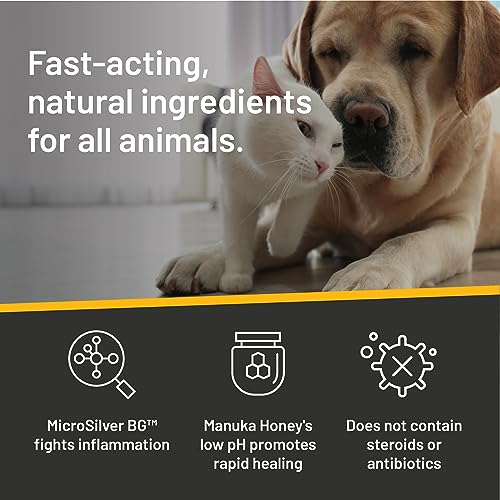 Silver Honey Hot Spot & Wound Care Pet First Aid Spray Gel, 8 fl oz