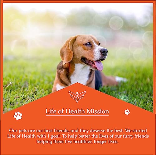 Natural Antibiotics for Dogs - Dog Antibiotics - Dog Ear Infection Treatment - Yeast Infection Treatment for Dogs - Dog Antibiotic - 1 fl oz - Bacon Flavor