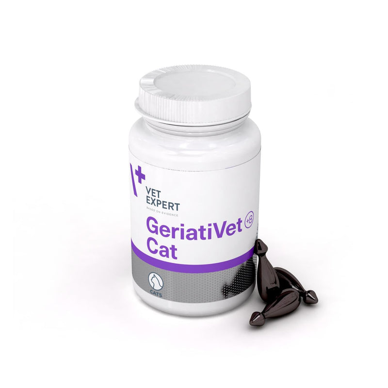 Vet Expert GeriatiVet Senior Cat Supplement | 60 | Supports Metabolism, Vitality, and Urinary Health with Blackcurrant Seed Oil, Glucosamine, Taurine, DL-Methionine, Nettle Leaf Extract, and Vitamins