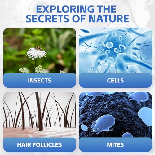 Portable Magnifying Glass, Handheld Observation Lens with LED Light, Outdoor Mobile Phone Magnifier Complete Set Suit