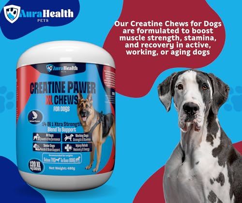 Dual-Action Strength & Gut Health Bundle for Medium to Large Dogs (120 XL Chews x2)
