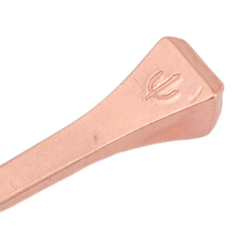 Mxzzand 250Pcs Horseshoe Nails Copper Plating Shoeing Nails with Plastic Box for Raise Livestock(E3 45mm/1.77in) E3 45mm/1.77in - BeesActive Australia