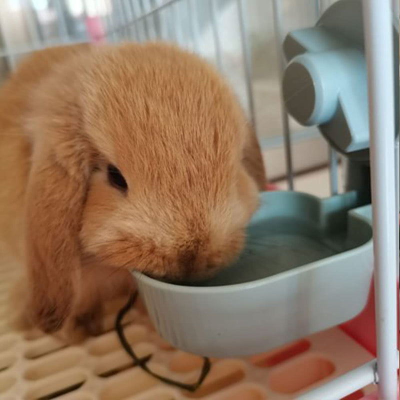 17oz Bunny Water Bottle No Drip for Cage, Hanging Automatic Water Dispenser for Small Animal Guinea Pig Hamster Chinchilla Ferret Rabbit Pink - BeesActive Australia