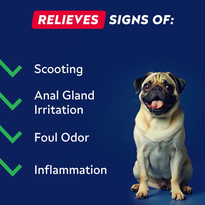 STRELLALAB Anal Gland - 110 Soft Chews, Scoot Treatment - Digestive Enzymes, Prebiotics & Fiber Supplement for Dogs Digestion & Gut Health. Proprietary Blend of Beet - Grilled Chicken - BeesActive Australia