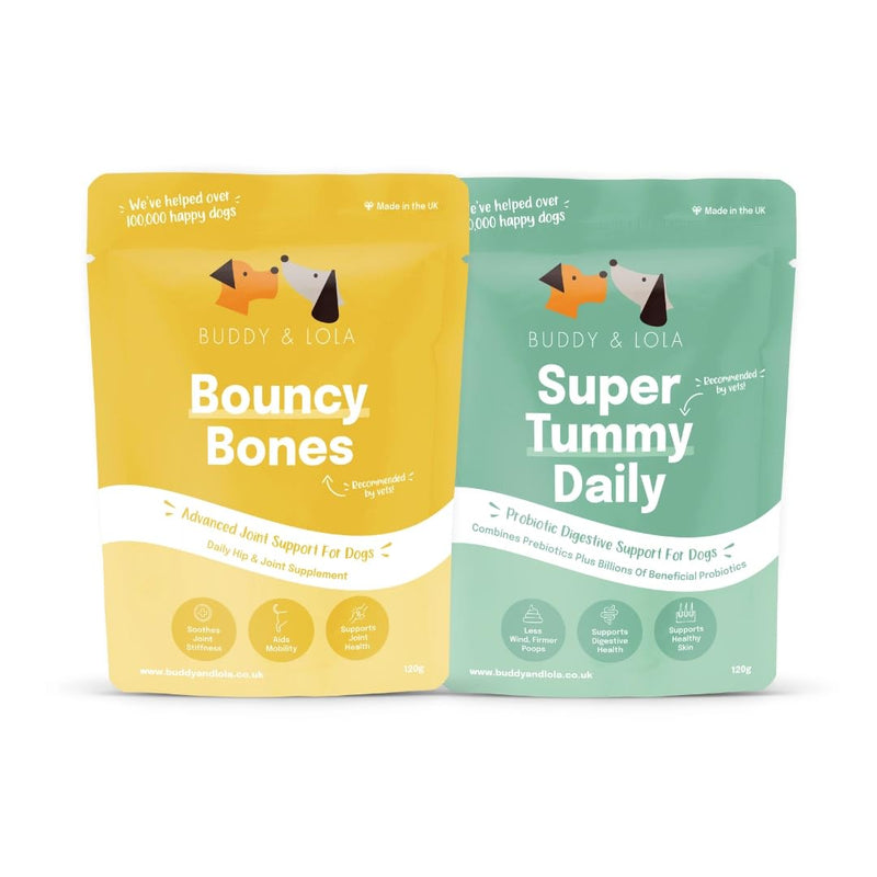 Buddy & Lola Joints and Tummy Bundle for Dogs - High CFU Count, Plant-Based Dog Probiotics for Gut Health - Dog Probiotic Powder with Prebiotics for Skin Health & Joint Support Supplement Value Joints and Tummy Bundle