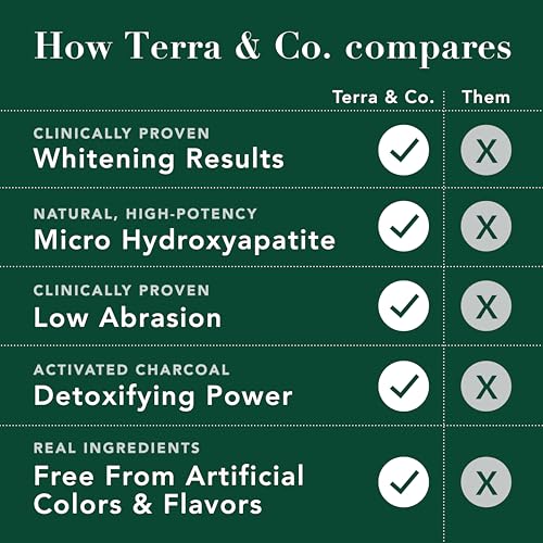 Terra & Co. Brilliant Black Hydroxyapatite Toothpaste for Whitening Teeth – USA-Made - Natural Remineralizing Toothpaste, Fluoride-Free, Vegan, SLS-Free, Low Abrasion – Mint, 3.4 oz Whitening - Mint 3.4 Ounce (Pack of 2)
