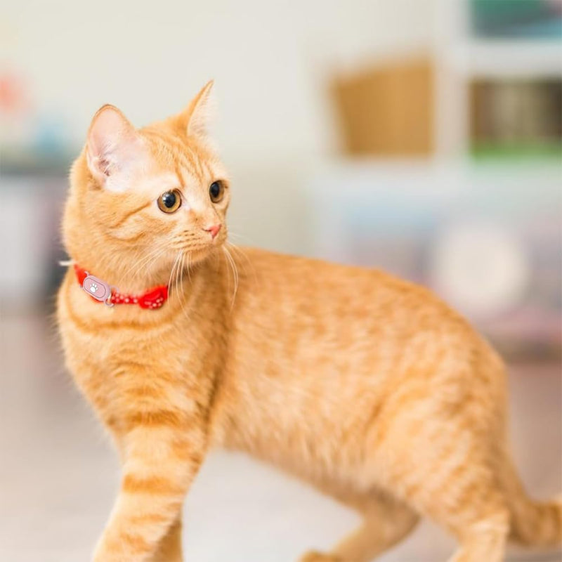 Hsthe Sea Dog Collar Holder for Samsung Galaxy SmartTag2, Waterproof Loss-Proof Protective Case - Silicone Case Pet Cat Dog Collar Accessories - BeesActive Australia