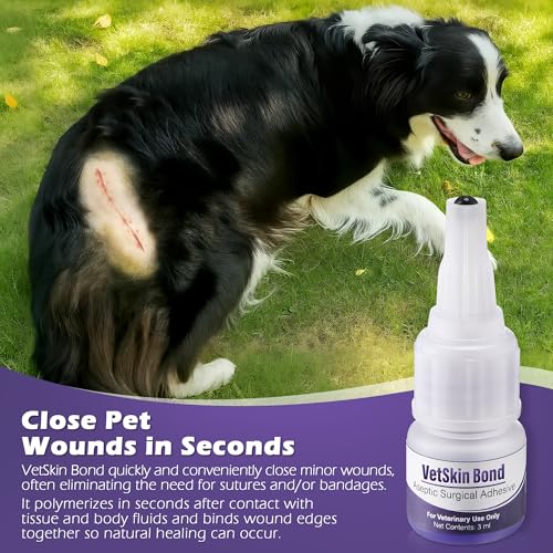 2 Pack 3ml Veterinary Surgical Skin Glue with 20 Applicators 2
