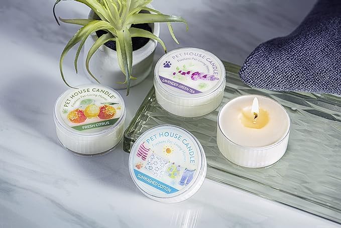 One Fur All Pet House Mini Candle - Variety 3 Pack - Pet Odor Eliminator Mini Candle - Natural Wax Candle - Mini Candle Set - Pet-Friendly Non-Toxic Scented Candle Top Sellers - PawsPlanet Australia