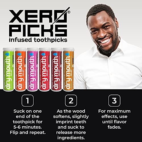 XERO PICKS® Dry Mouth Toothpicks – Xylitol Infused Flavored Toothpicks for Fresh Breath & Saliva Support – Long Lasting Oral Hydration – Variety 6 Pack (Cinnamon Mint, Churro, Caramel Apple & More) 20 Count (Pack of 6)