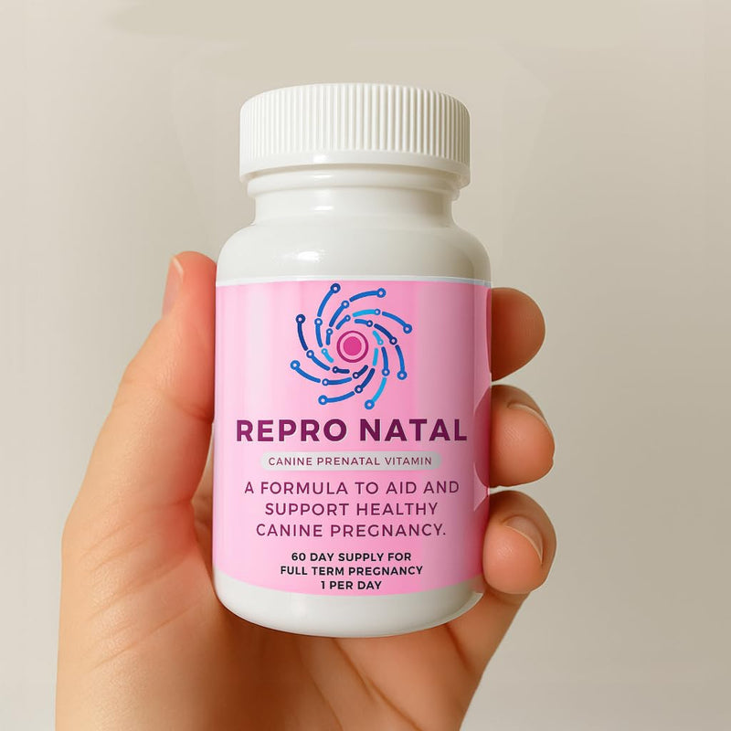 Prenatal Multi-Vitamin Capsules - 60-Day Supply to Aid Full-Term Pregnancies and Promote Optimal Health for Expecting Dogs - ReproNatal™ Dog Supplement Prenatal (Female Dog)