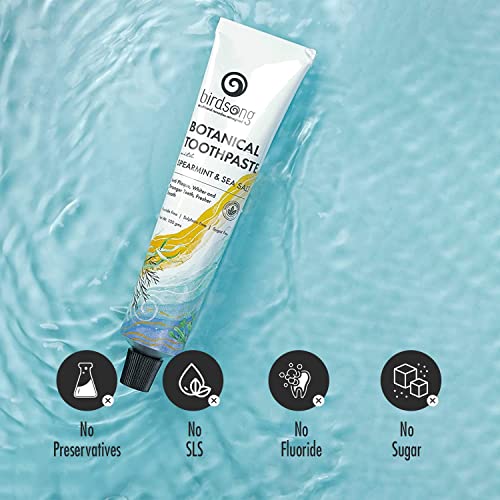 Birdsong Botanical Sea Salt and Spearmint Toothpaste 3.5 oz (100 GMS)