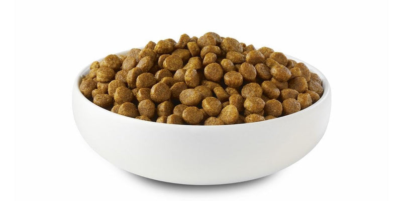 Diet i/d Digestive Care Dry Cat Food, Chicken Flavour 1.5kg, Highly Digestible Formula to Support Healthy Digestion, 2 x 85g Wet Cat Food Pouches & Cat Toy Bundle