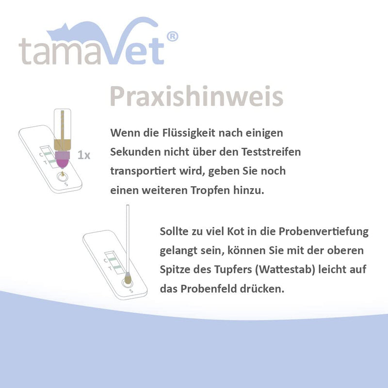 tamaVet 5X Giardia rapid test for dogs and cats - Immediate certainty about your animal's health in the event of diarrhea and intestinal parasites - For detecting Giardia antigens in animal feces 5 pieces (pack of 1) - BeesActive Australia
