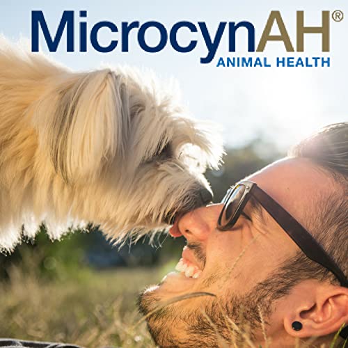 MicrocynAH Wound and Skin Care Hydrogel for Dogs | Non-Toxic Spray Formulated to Clean Wounds | Veterinarian Recommeneded Non-Toxic Formula | 8oz 8 Ounces - BeesActive Australia