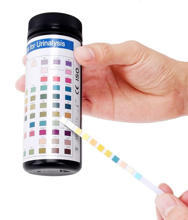 BecaGoode-Urine Rapid Test-Strips 11 Parameters, UTI Test Kit, Liver Function, Kidney and Gallbladder, Packed w/h Two Separate Foil Pouch in One Big Bottle - 120 Count
