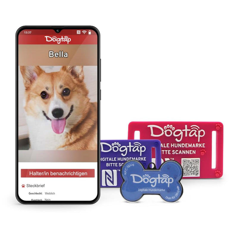 Dogtap Light Big, digital dog tag for medium to large dogs, with NFC chip and QR code for contact details and profile, made of silicone, waterproof, flexible, 67 x 40 mm blue - BeesActive Australia
