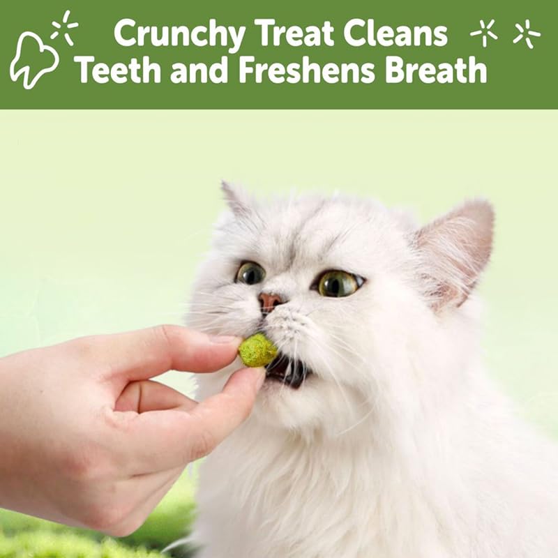Cat Grass Dental Crunchy Treats, Natural Tasty Dental Care Snacks for Cats, Healthy Teeth Cleaning & Freshen Breath - BeesActive Australia