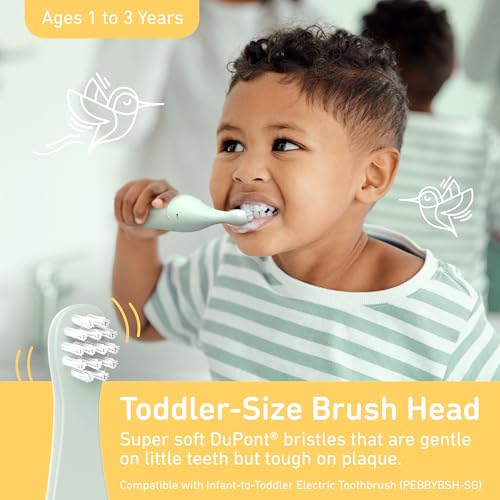 Pure Enrichment PureBaby 4-Pack Replacement Brush Heads for The Infant-to-Toddler Electric Toothbrush
