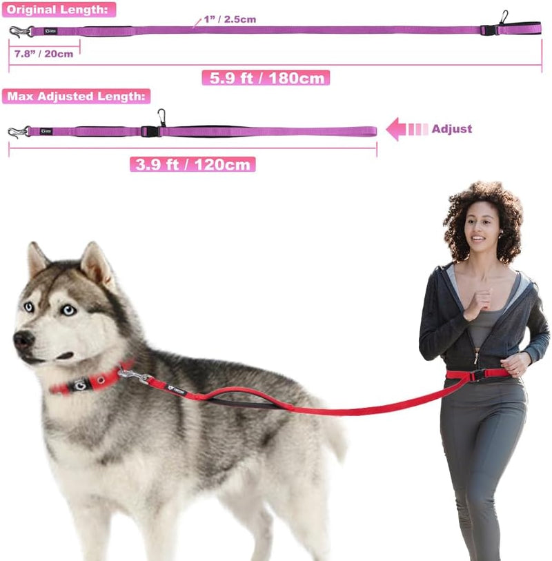 TSPRO Hands Free Dog Leash Adjustable Walking Running Dog Leash with Control Safety Padded Handle and Heavy Duty Clasp for Medium Large Dogs (Red) For Medium-Large Dogs Red - BeesActive Australia