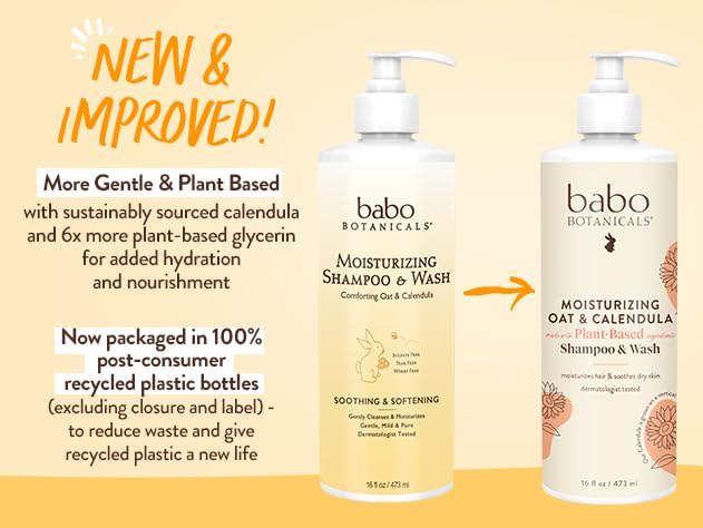 BABO Botanicals Moisturizing Oat & Calendula 2-in-1 Shampoo & Wash - for Dry or Sensitive Skin - for All Ages - Lightly Scented - Vegan - Various Sizes 16 Fl Oz (Pack of 1) Pack of 1 - BeesActive Australia