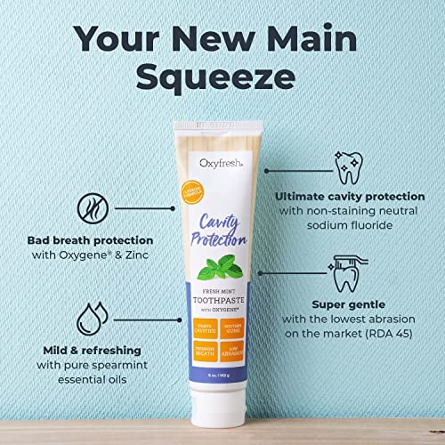 Oxyfresh Premium Cavity Protection – Fresh Mint Fluoride Toothpaste 3 Pack