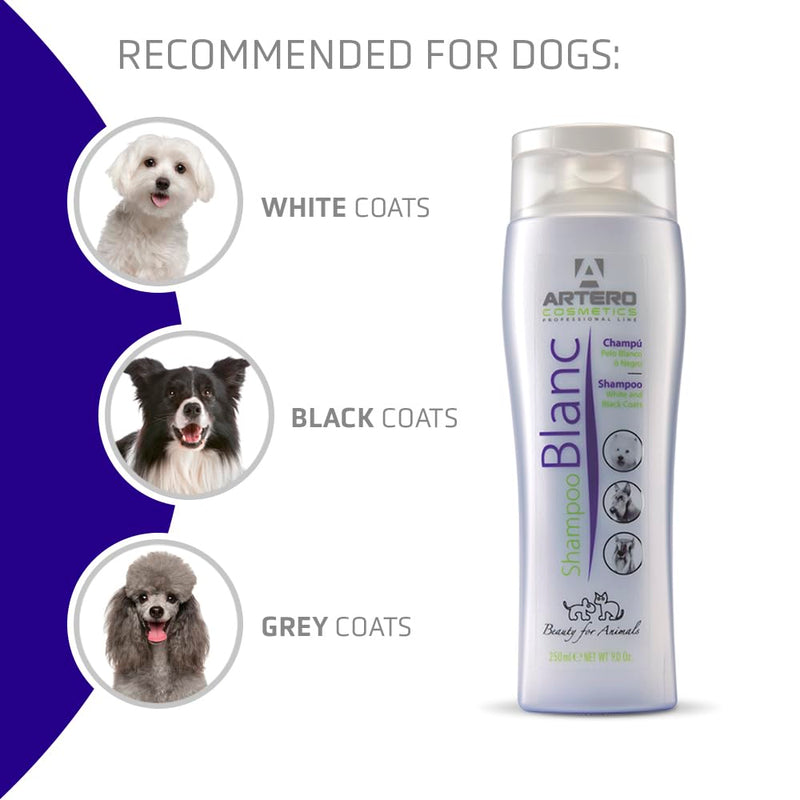 Artero Blanc. Whitening Shampoo for White Dogs and Black Dogs - PawsPlanet Australia
